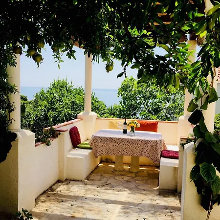 Large Garden 10min Walk To Old Town *