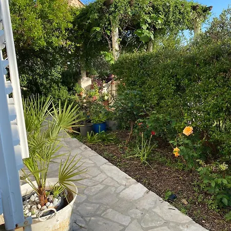 Large Garden 10min Walk To Old Town Apartman *