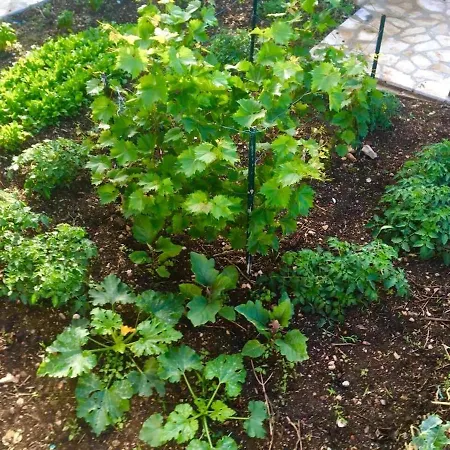 Large Garden 10min Walk To Old Town *